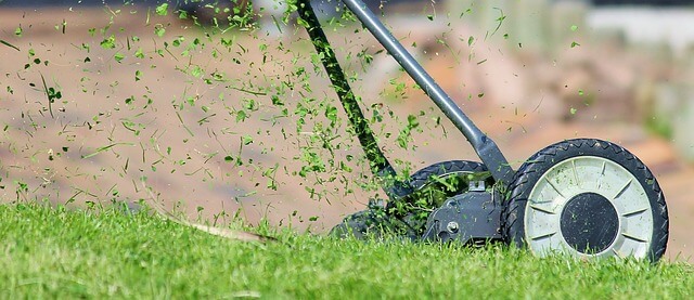 Grass sod and Turf Laying